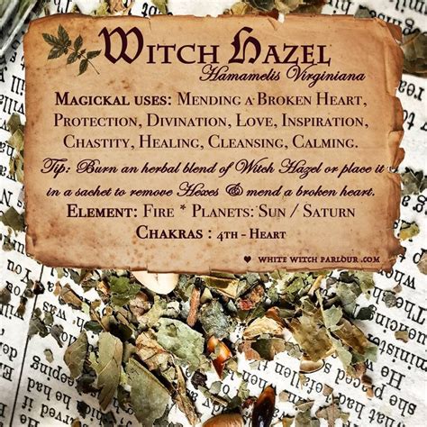 Unleashing the Power Within: Exploring Dominant Witch Essence